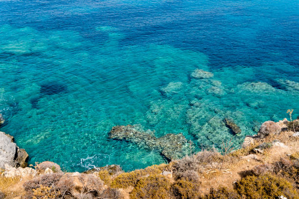 istock overgrown cliff and turquoise ocean 888842824