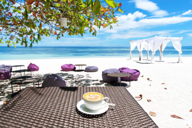 Enjoying beach holidays in tropical paradise