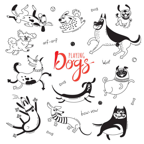 Playing dogs. Funny lap-dog, happy pug, mongrels and other breeds. Set of isolated vector drawings for design Playing dogs. Funny lap-dog, happy pug, mongrels and other breeds. Set of isolated vector drawings for design. pitbull graphic stock illustrations