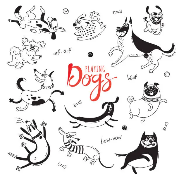 Vector illustration of Playing dogs. Funny lap-dog, happy pug, mongrels and other breeds. Set of isolated vector drawings for design