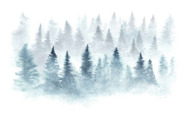 ilustraciones, imágenes clip art, dibujos animados e iconos de stock de paisaje de acuarela - forest landscape pine tree snow