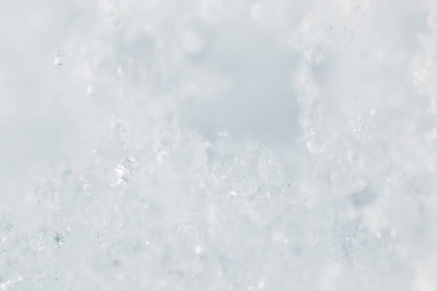 istock Snow in nature as a background. macro 888861284