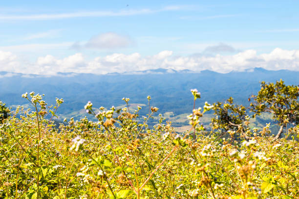 istock Beautiful mountain with blue sky and clouds 888870514