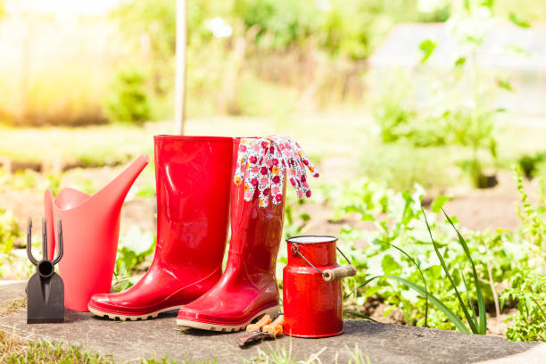 istock gardening tools outdoor in garden 888877322