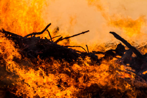 burning wood stock photo