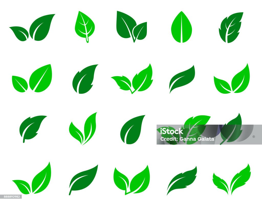 grünes Blatt Icons set - Lizenzfrei Blatt - Pflanzenbestandteile Vektorgrafik
