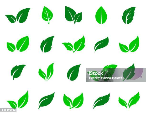 Set Di Icone Foglia Verde - Immagini vettoriali stock e altre immagini di Foglia - Foglia, Icona, Vettoriale