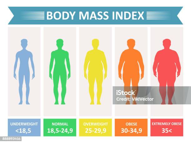 Index Mass Body Stock Illustration - Download Image Now - Body Mass Index, The Human Body, Mass - Unit of Measurement