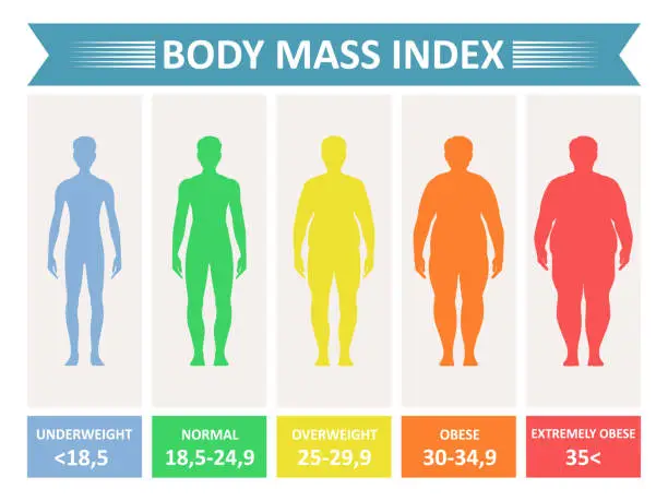 Vector illustration of Index mass body