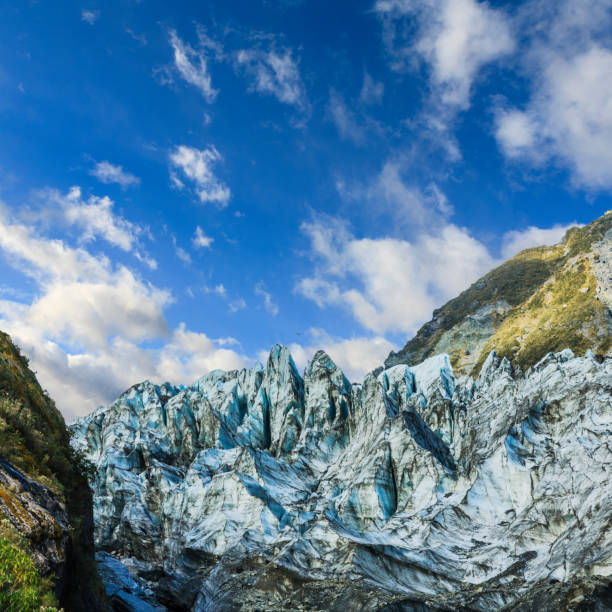 Terminal face of Fox Glacier, New Zealand.