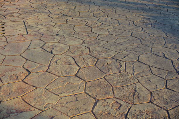 istock Texture of the old asphalt crosswalk cracked 888914382