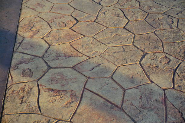 istock Texture of the old asphalt crosswalk cracked 888914460