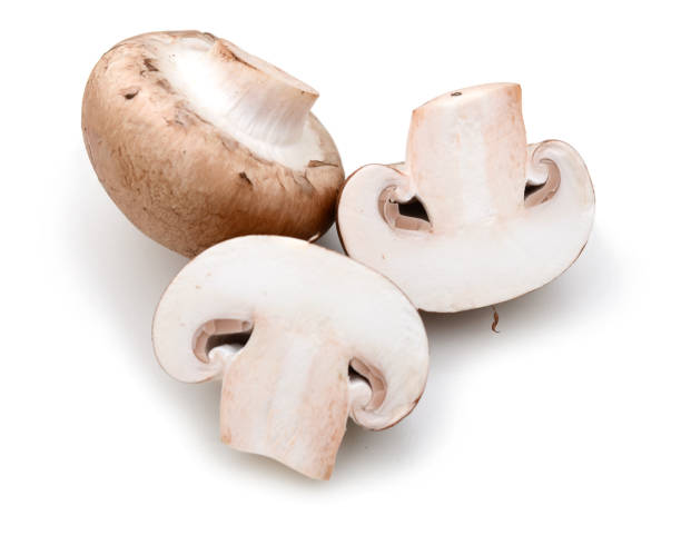 common mushroom and half stock photo