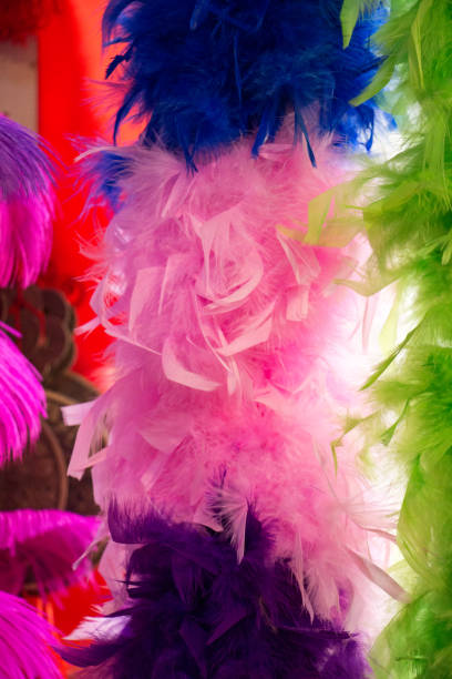 istock Beautiful bird feathers for decorative aims 888929550