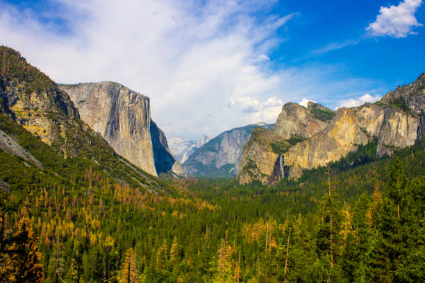 istock Yosemite Valley, California 888940618