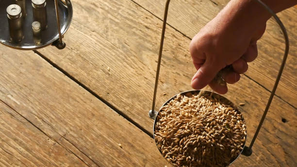 istock A Man Weighs Malt. View from Above. 888946648