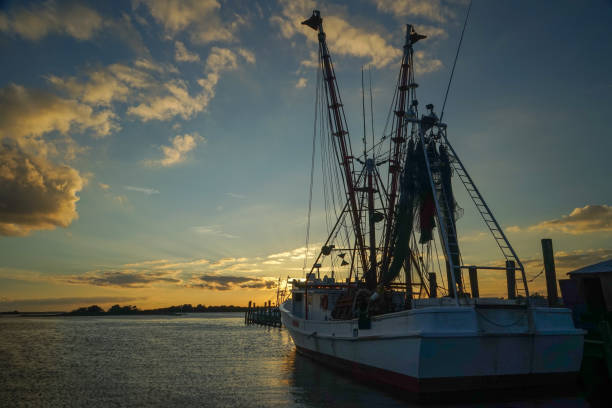 Shrimp Boat in Louisiana backwater canal