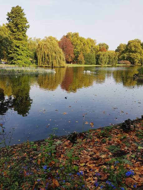 istock Reflection on the lake in the park (London, England) 888968260