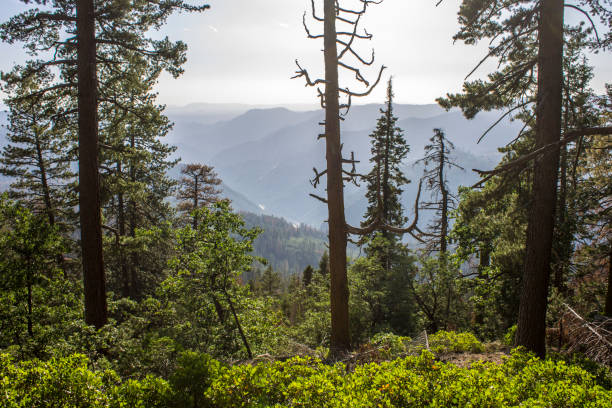 istock Yosemite Valley, California 888977370