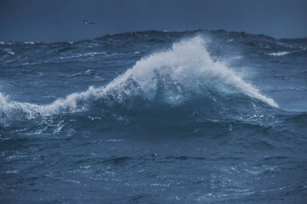 istock Out in a rough North Sea 888982674