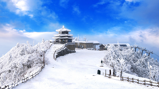 Snow covered mountain landscape, dry bushes surviving harsh climate, clear day in the winter