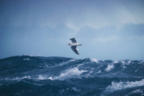 istock Out in a rough North Sea 888983142