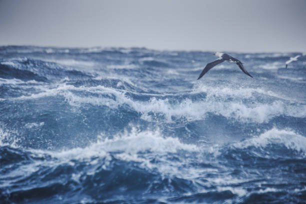 istock Out in a rough North Sea 888983376