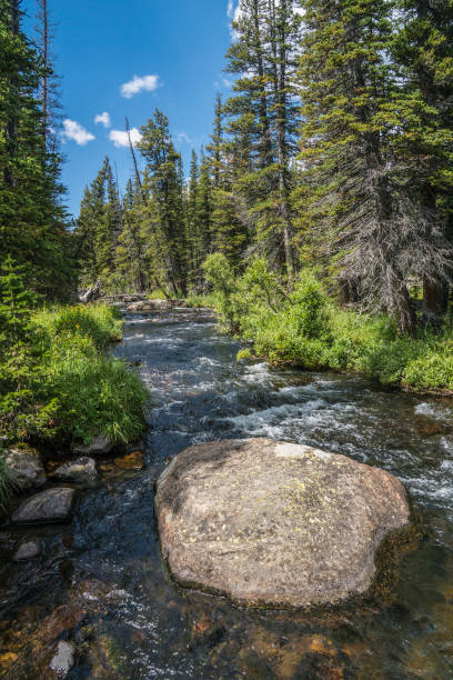 istock South Saint Vrain Creek 888983464