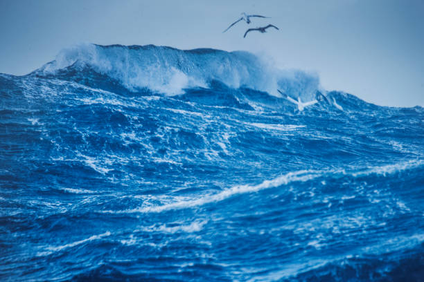 istock Out in a rough North Sea 888983496
