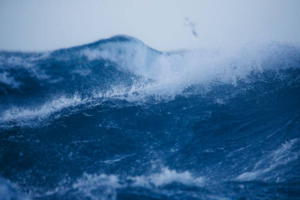 istock Out in a rough North Sea 888985568