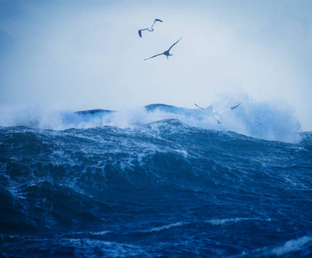 istock Out in a rough North Sea 888985572