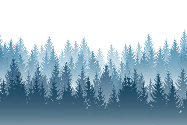 вектор туманный лесной пейзаж с подробными синими силуэтами хвойных деревьев - бесшовный узор - layered mountain tree pine stock illustrations