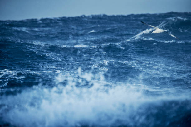 istock Out in a rough North Sea 888987828