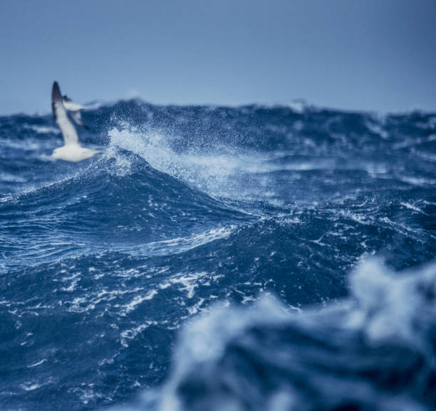 istock Out in a rough North Sea 888987906
