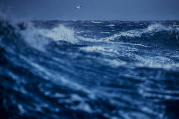 istock Out in a rough North Sea 888987912