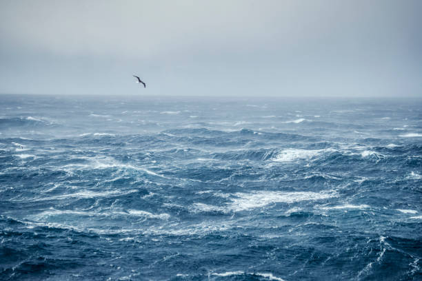 istock Out in a rough North Sea 888988276