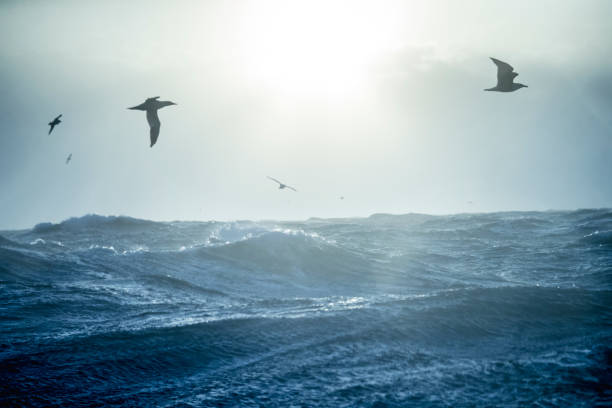 北の荒海で - norwegian sea ストックフォトと画像