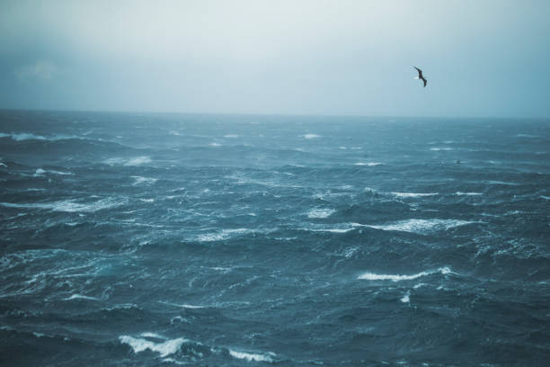 istock Out in a rough North Sea 888988546