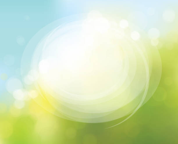 Vector circle frame on nature bokeh  background. Vector circle frame on nature bokeh  background. sunny day stock illustrations