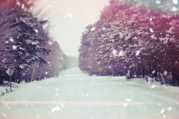 Digital art Winter collection: Path in the Winter Forest with a Snow