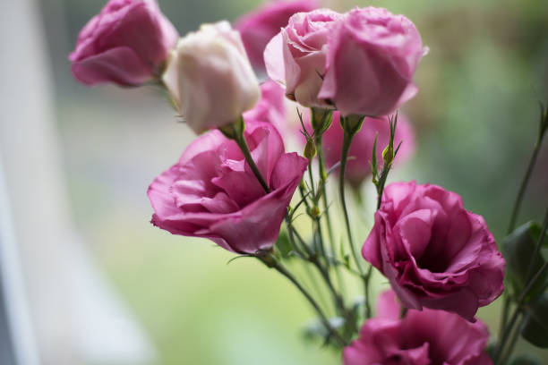 istock beautiful bouquet of bright pink flowers eustoma 888994442