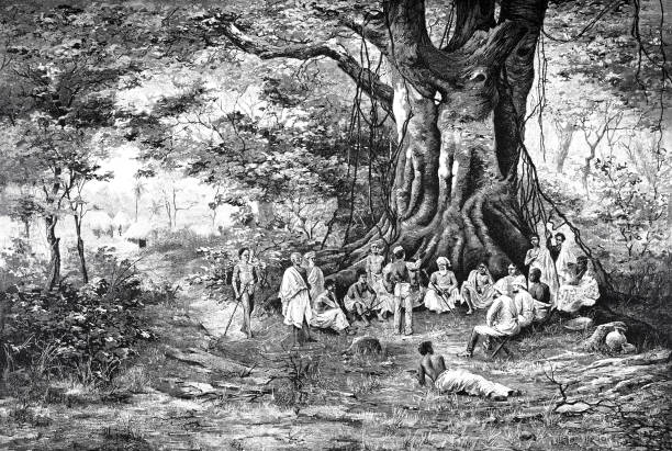istock Meeting point for gossip under a huge tree in West Africa, german colony 888999566