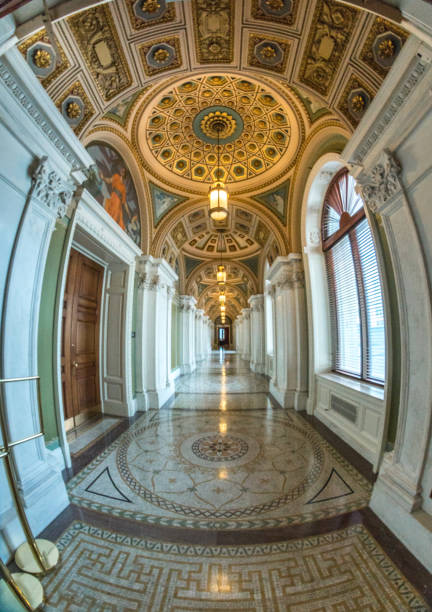 istock Library of Congress Great Hall Ceiling in Washington, DC 889000262