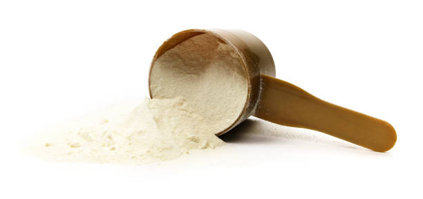 Isolated Protein Powder stock photo