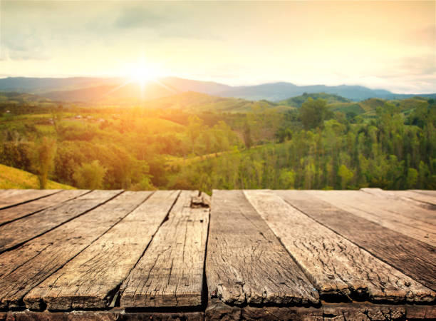 Table top and blur nature of the background