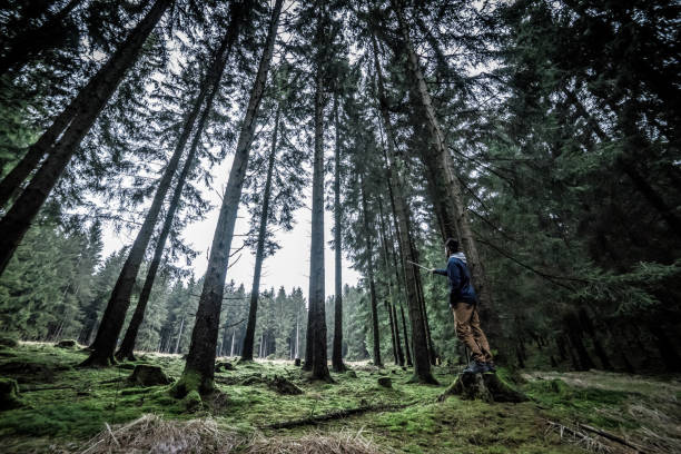 istock Hiking in the Teutoburg Forest 889003884