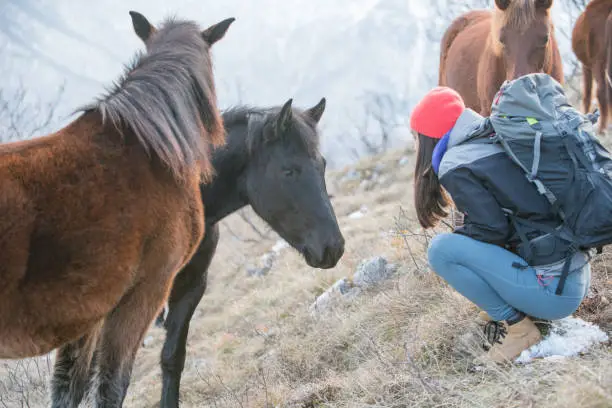 Young woman cuddling a wild horse on the mountain