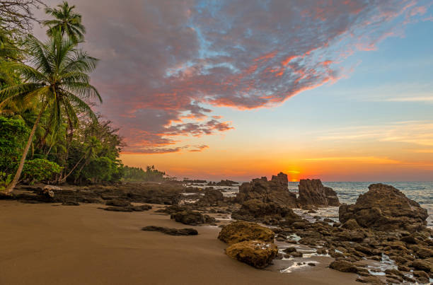 Sunset in Costa Rica Sunset along the Pacific coast of Costa Rica with palm trees and rock formations inside Corcovado National Park, Osa Peninsula, Costa Rica. tortuguero photos stock pictures, royalty-free photos & images