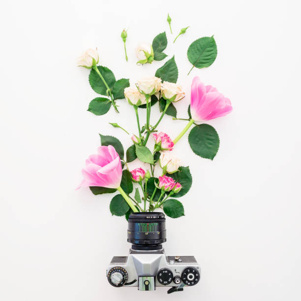 istock Flowers and retro camera. Flat lay, Top view 889020864