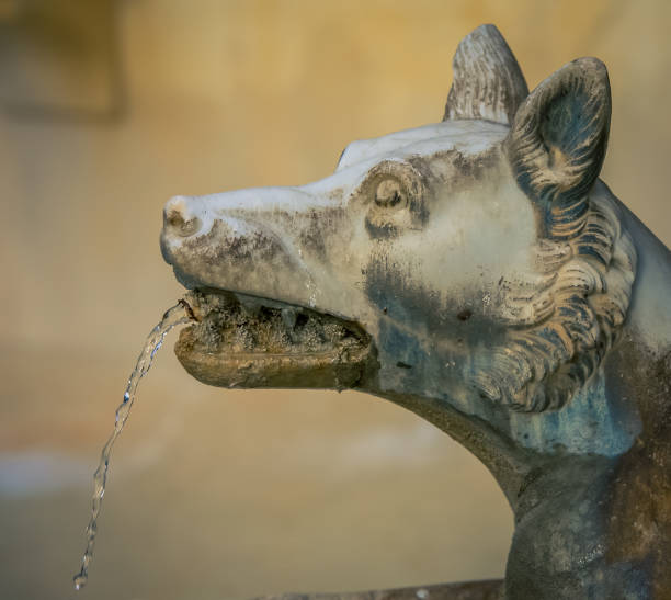 istock Dog fountain Siena 889023382